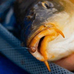 Fjuka Natural 2in1 200gram -Hengelsport Winkel 173e3a2163a6a35f