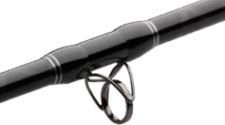 Madcat Black Cat-Stick 3,00m 150-300gr -Hengelsport Winkel 23b7238bf9476bbd