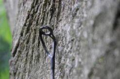 Ashima Travel FFX-S 10ft 3m 3.25Lb -Hengelsport Winkel 4a7d69384d52c63c