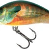 Salmo Hornet 4cm Sinking - Real Sunfish 1 Salmo Hornet 4cm Sinking - Real Sunfish -Hengelsport Winkel 61eddbe66c7732d9