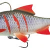 Fox Rage Realistic Replicant Roach 'Super Wounded' 18cm (85g) -Hengelsport Winkel 628dc9a43aafd39e
