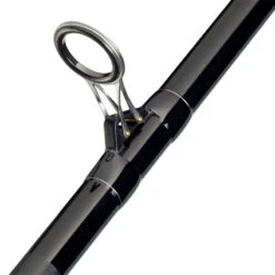 Mitchell Adventure II 503 Surf Strandhengel 5m (100-250g)