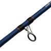 Mitchell Rod Riptide R 212 100/300 Dorade 2 Mitchell Rod Riptide R 212 100/300 Dorade -Hengelsport Winkel 7a1dd4b52902f182