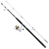 Mitchell Tanager SW Boat Spinning Combo 2,40m (100-300g)