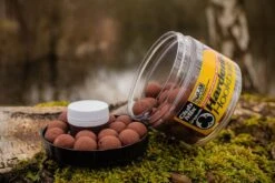 Solar Hardened Hook Baits + Amino Liquid 16mm Club Mix