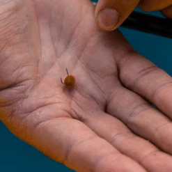 Fjuka Natural 2in1 200gram -Hengelsport Winkel d63055fda4442628