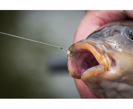 Matrix MXC-6 Barbless Eyed Witvishaken (10st) Maat 14 3 Matrix MXC-6 Barbless Eyed Witvishaken (10st) Maat 14